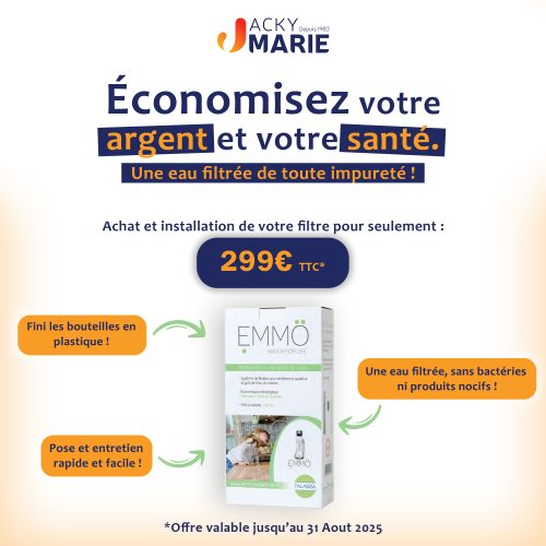 Promotion sur le filtre EMMO le filtre antibactériens du robinet